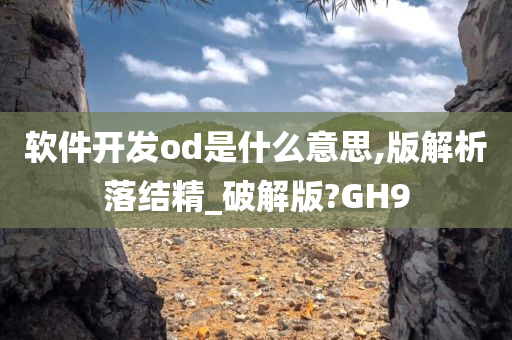 软件开发od是什么意思,版解析落结精_破解版?GH9