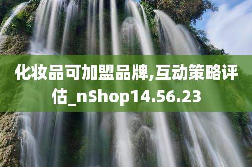 化妆品可加盟品牌,互动策略评估_nShop14.56.23