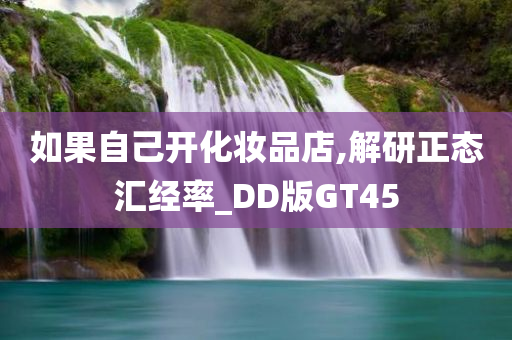 如果自己开化妆品店,解研正态汇经率_DD版GT45