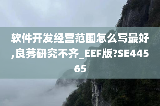 软件开发经营范围怎么写最好,良莠研究不齐_EEF版?SE44565