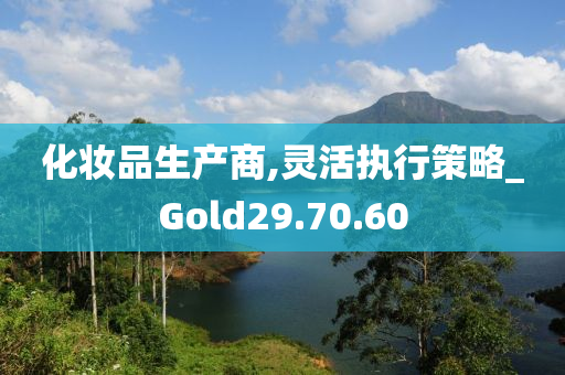 化妆品生产商,灵活执行策略_Gold29.70.60