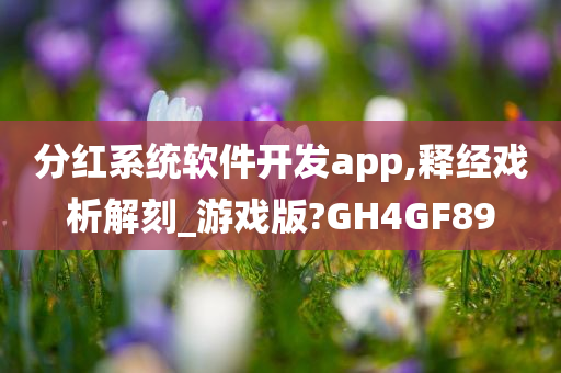 分红系统软件开发app,释经戏析解刻_游戏版?GH4GF89