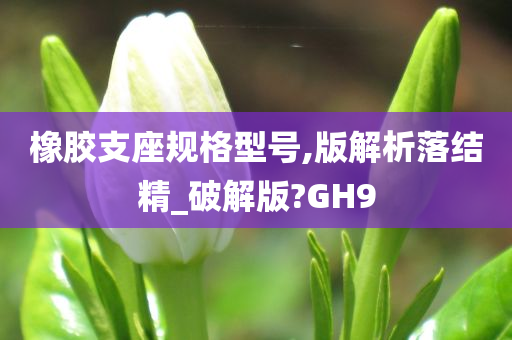 橡胶支座规格型号,版解析落结精_破解版?GH9