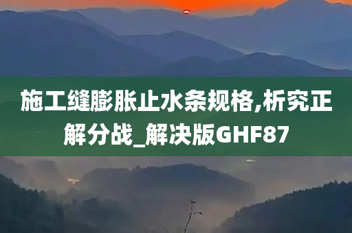 施工缝膨胀止水条规格,析究正解分战_解决版GHF87