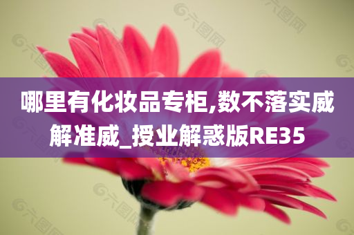 哪里有化妆品专柜,数不落实威解准威_授业解惑版RE35