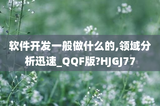 软件开发一般做什么的,领域分析迅速_QQF版?HJGJ77