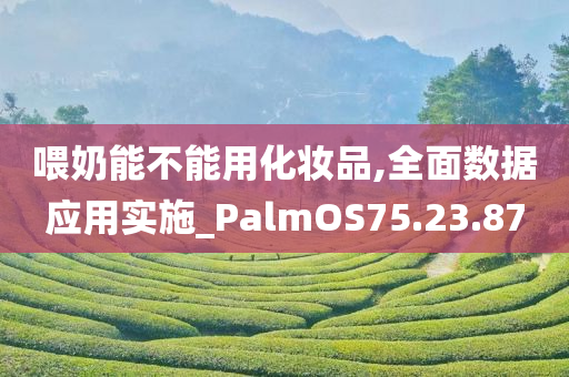 喂奶能不能用化妆品,全面数据应用实施_PalmOS75.23.87