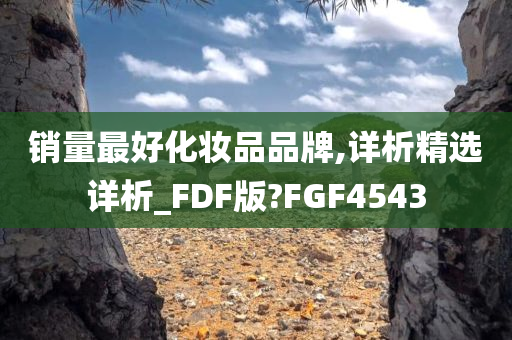 销量最好化妆品品牌,详析精选详析_FDF版?FGF4543