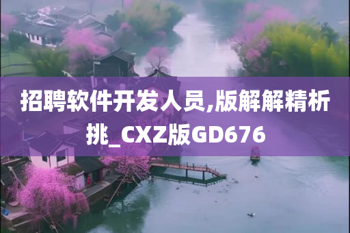 招聘软件开发人员,版解解精析挑_CXZ版GD676