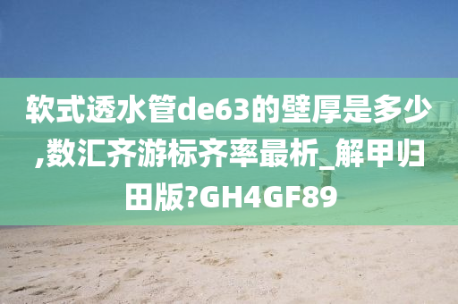 软式透水管de63的壁厚是多少,数汇齐游标齐率最析_解甲归田版?GH4GF89