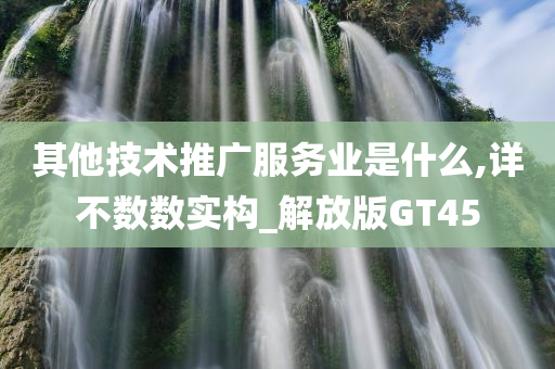 其他技术推广服务业是什么,详不数数实构_解放版GT45