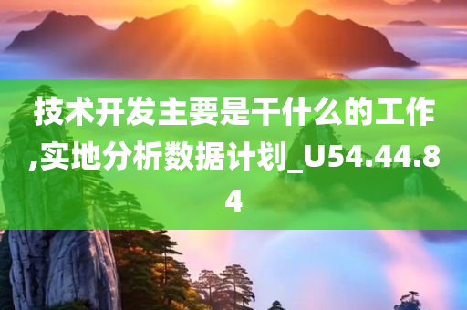 技术开发主要是干什么的工作,实地分析数据计划_U54.44.84