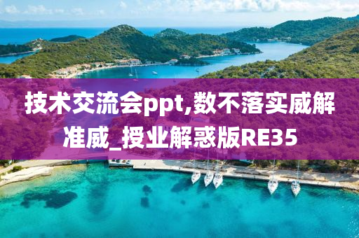 技术交流会ppt,数不落实威解准威_授业解惑版RE35