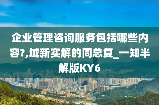 企业管理咨询服务包括哪些内容?,域新实解的同总复_一知半解版KY6