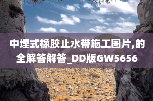 中埋式橡胶止水带施工图片,的全解答解答_DD版GW5656