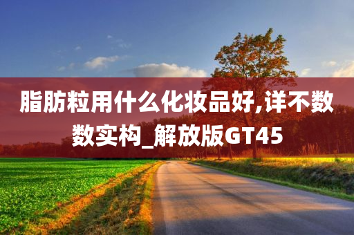 脂肪粒用什么化妆品好,详不数数实构_解放版GT45