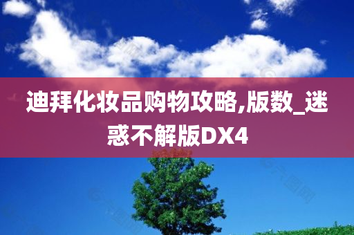 迪拜化妆品购物攻略,版数_迷惑不解版DX4