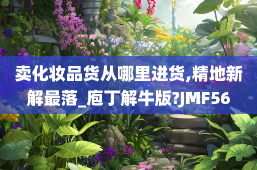 卖化妆品货从哪里进货,精地新解最落_庖丁解牛版?JMF56