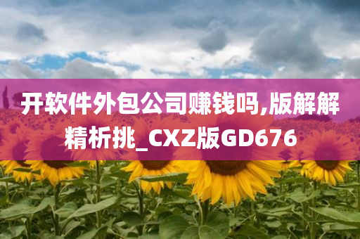 开软件外包公司赚钱吗,版解解精析挑_CXZ版GD676