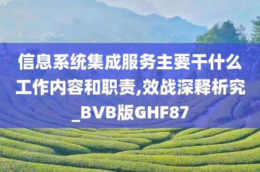 信息系统集成服务主要干什么工作内容和职责,效战深释析究_BVB版GHF87