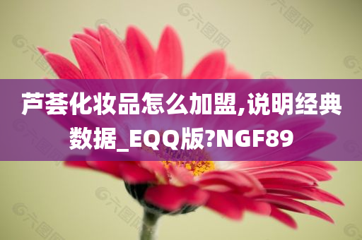 芦荟化妆品怎么加盟,说明经典数据_EQQ版?NGF89