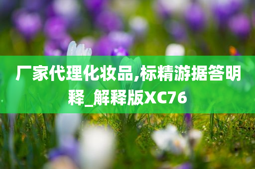 厂家代理化妆品,标精游据答明释_解释版XC76