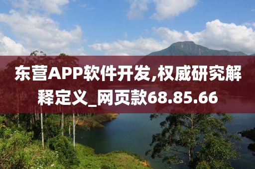 东营APP软件开发,权威研究解释定义_网页款68.85.66