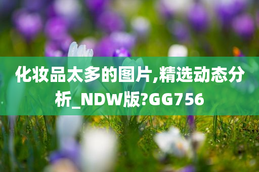 化妆品太多的图片,精选动态分析_NDW版?GG756