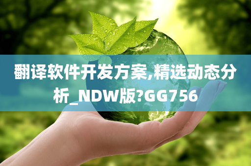 翻译软件开发方案,精选动态分析_NDW版?GG756