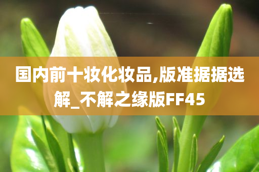 国内前十妆化妆品,版准据据选解_不解之缘版FF45