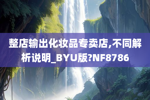 整店输出化妆品专卖店,不同解析说明_BYU版?NF8786