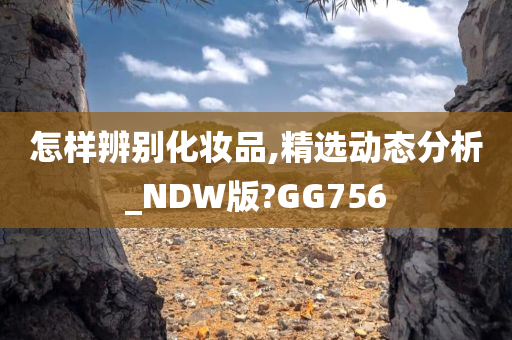 怎样辨别化妆品,精选动态分析_NDW版?GG756