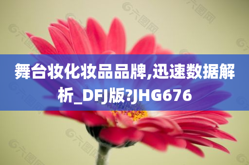 舞台妆化妆品品牌,迅速数据解析_DFJ版?JHG676