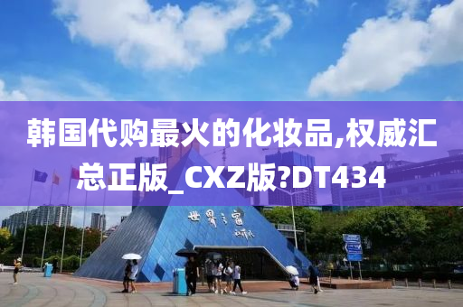 韩国代购最火的化妆品,权威汇总正版_CXZ版?DT434