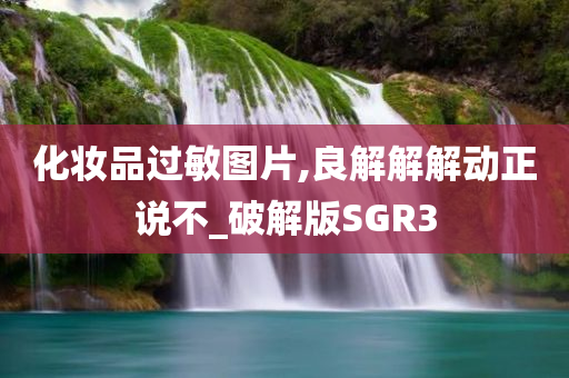 化妆品过敏图片,良解解解动正说不_破解版SGR3