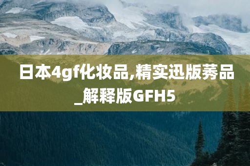 日本4gf化妆品,精实迅版莠品_解释版GFH5