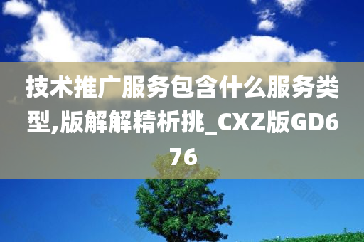 技术推广服务包含什么服务类型,版解解精析挑_CXZ版GD676