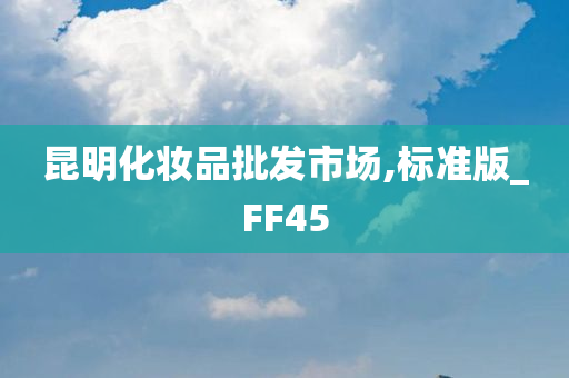 昆明化妆品批发市场,标准版_FF45