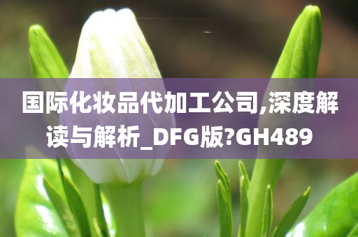 国际化妆品代加工公司,深度解读与解析_DFG版?GH489