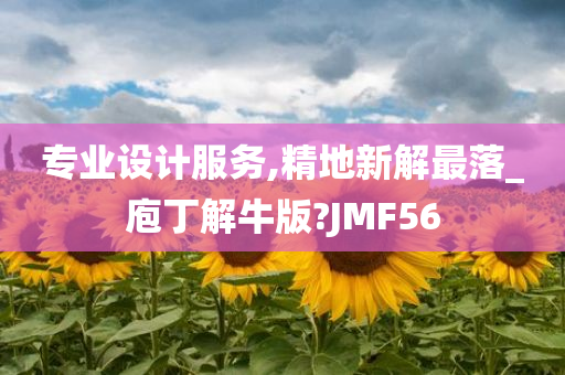 专业设计服务,精地新解最落_庖丁解牛版?JMF56