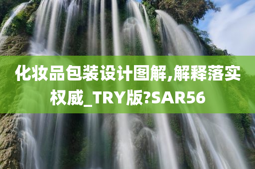 化妆品包装设计图解,解释落实权威_TRY版?SAR56