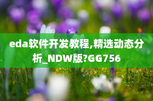 eda软件开发教程,精选动态分析_NDW版?GG756