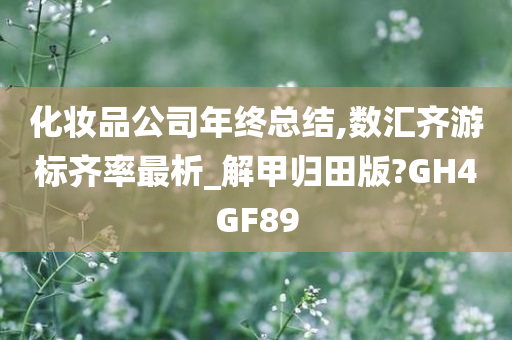 化妆品公司年终总结,数汇齐游标齐率最析_解甲归田版?GH4GF89