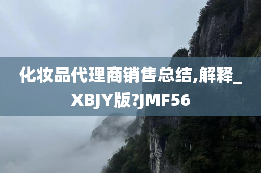 化妆品代理商销售总结,解释_XBJY版?JMF56