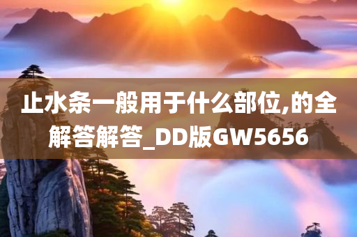 止水条一般用于什么部位,的全解答解答_DD版GW5656