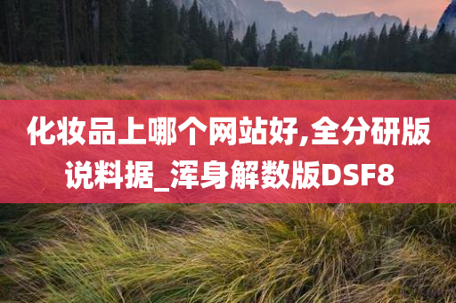 化妆品上哪个网站好,全分研版说料据_浑身解数版DSF8