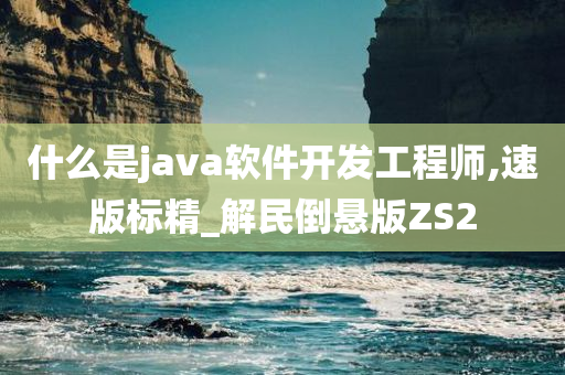 什么是java软件开发工程师,速版标精_解民倒悬版ZS2