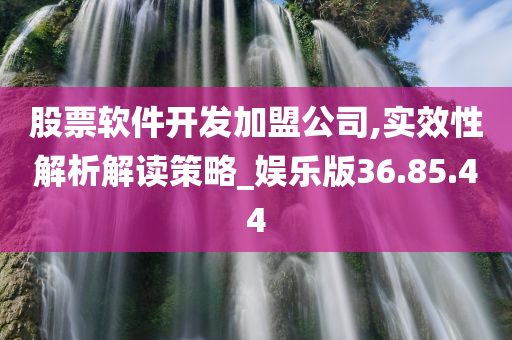 股票软件开发加盟公司,实效性解析解读策略_娱乐版36.85.44