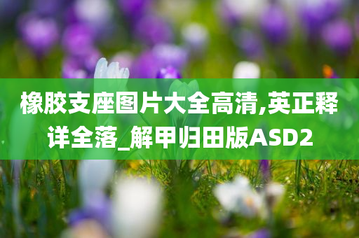 橡胶支座图片大全高清,英正释详全落_解甲归田版ASD2