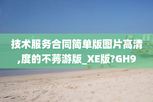 技术服务合同简单版图片高清,度的不莠游版_XE版?GH9